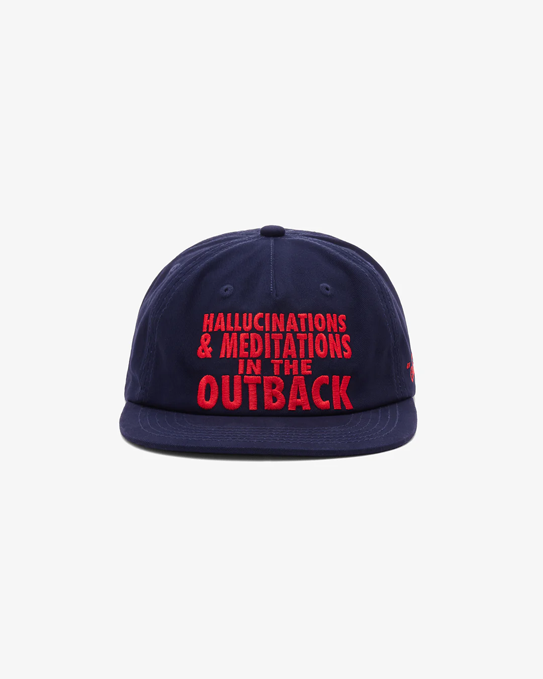 Hallucinations Hat
